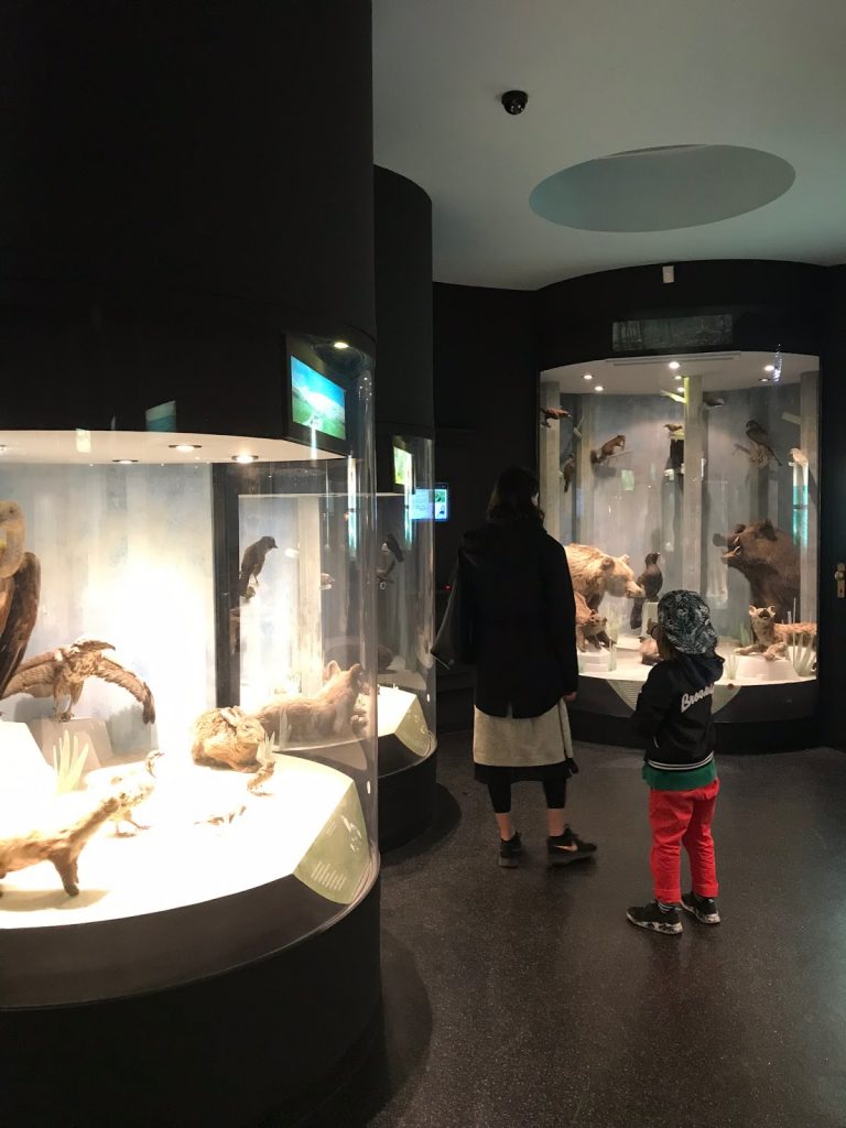 Kroatien Museum
