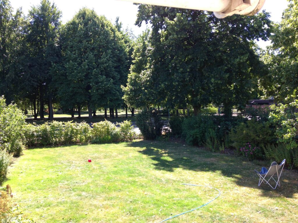 vår trädgård