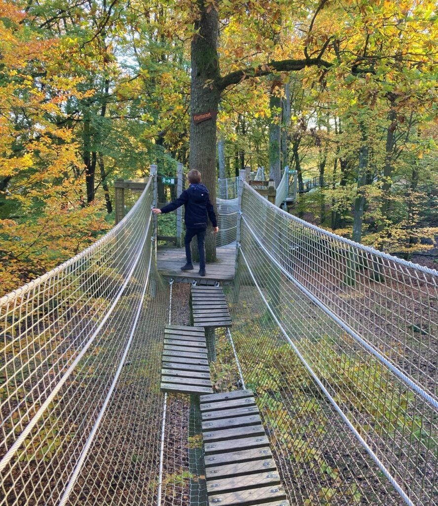 Skånes Djurpark