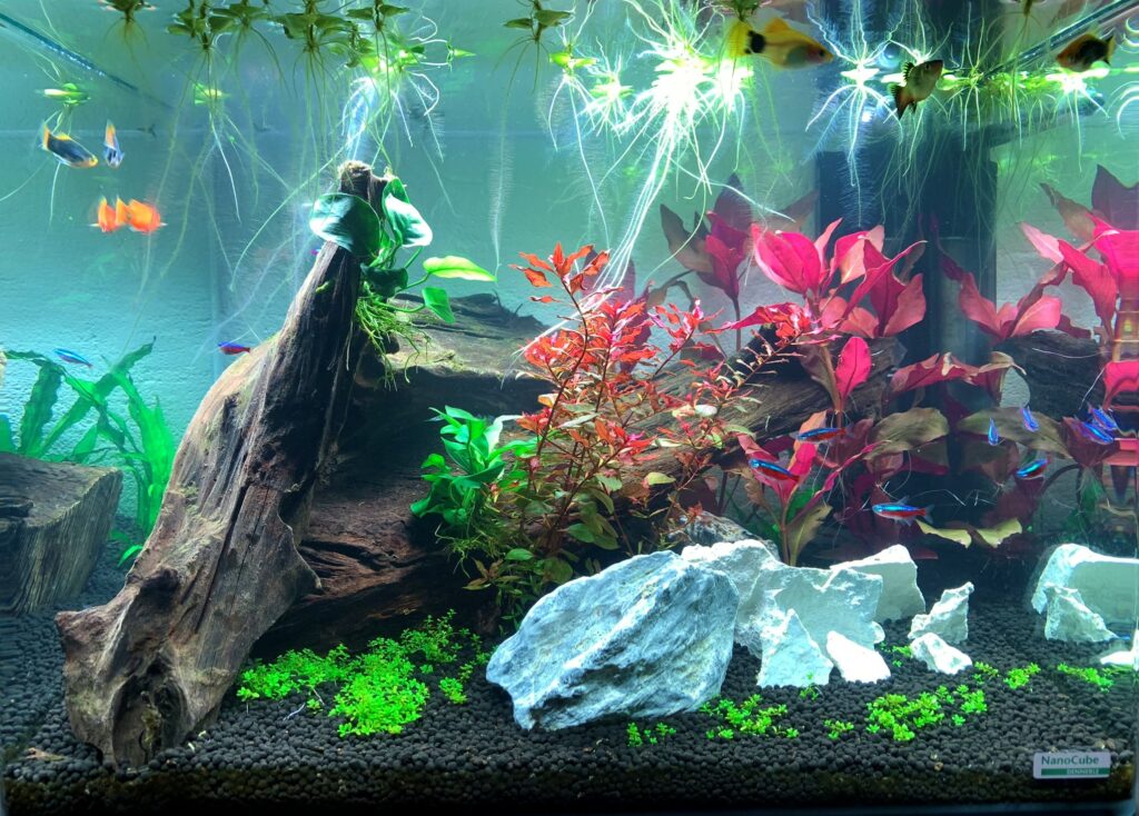 Akvarium